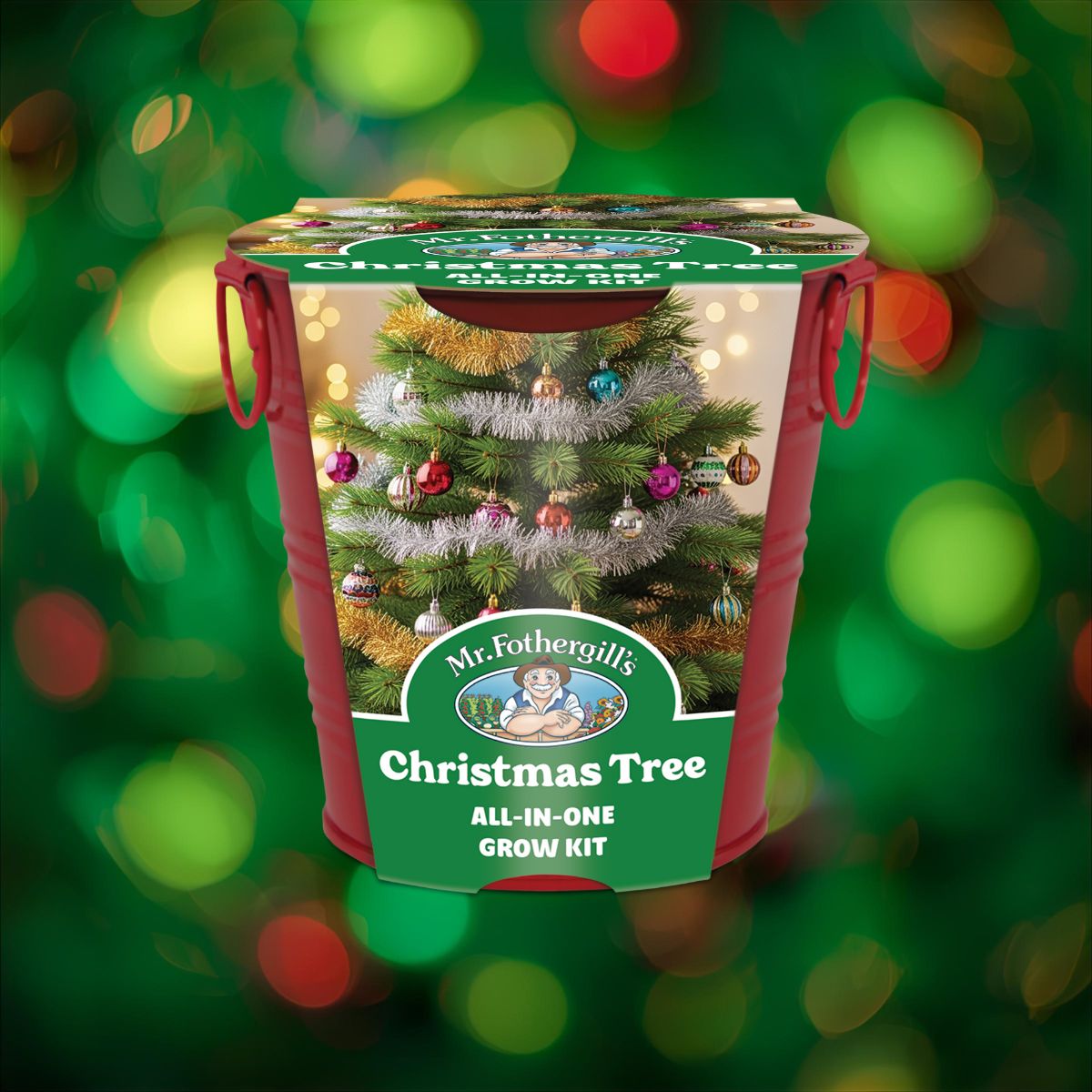 Your Guide to Growing Christmas Trees