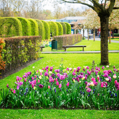 Your Guide to Hedging and Edging