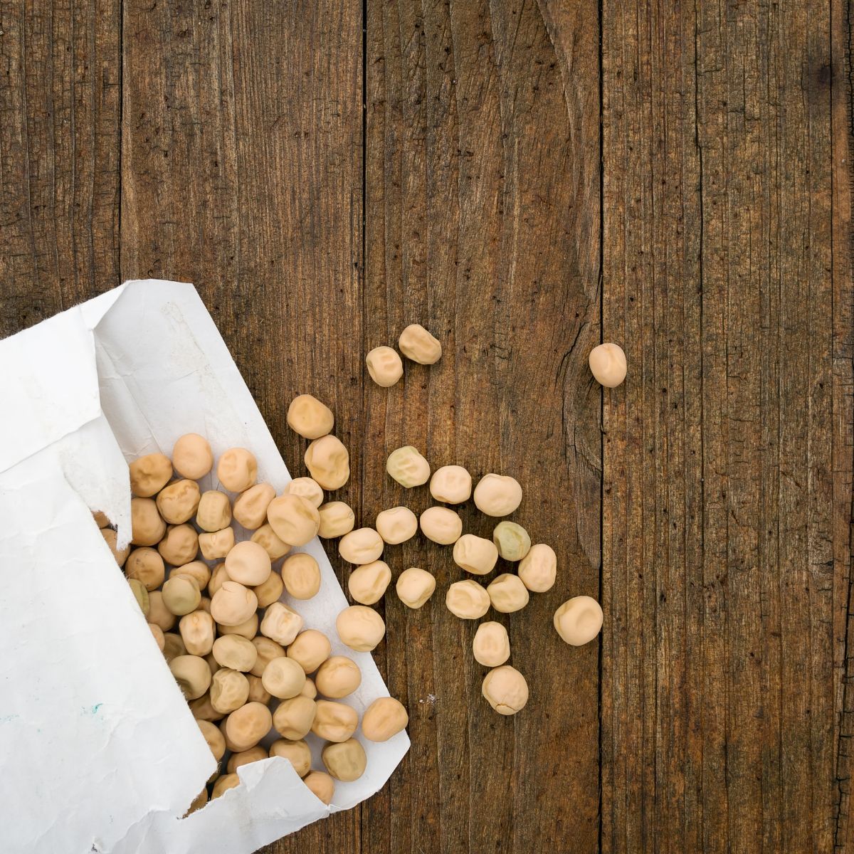 Storing Seeds - Why Seed Storage is Important