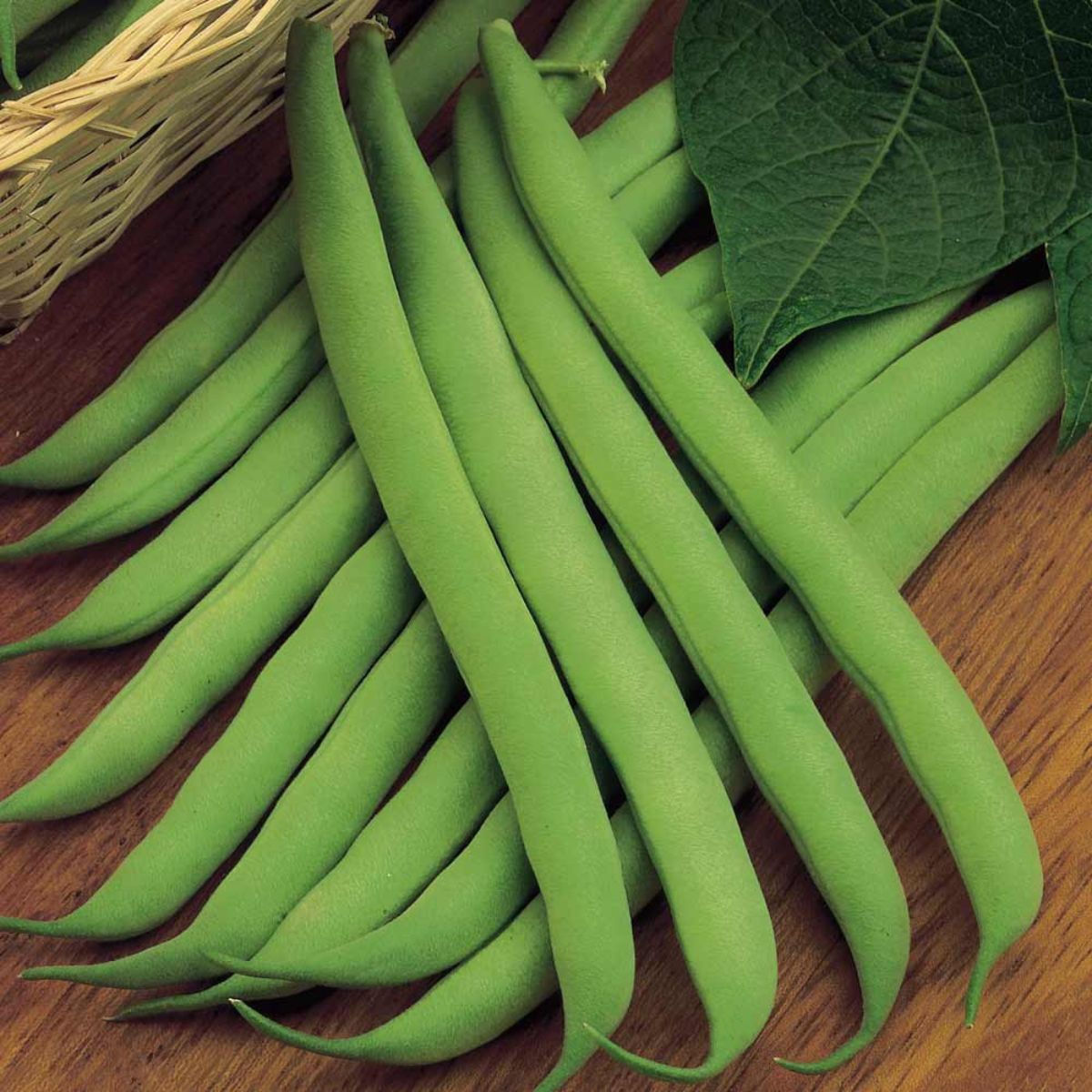 How to Grow Beans