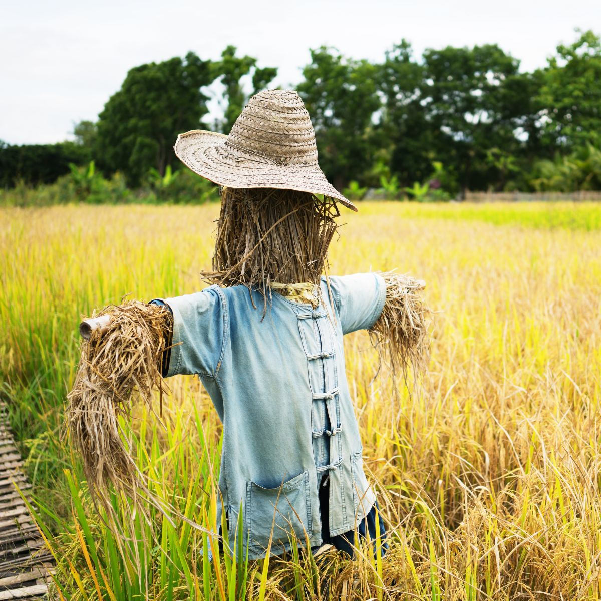 Turning Old Clothes into a Family Scarecrow