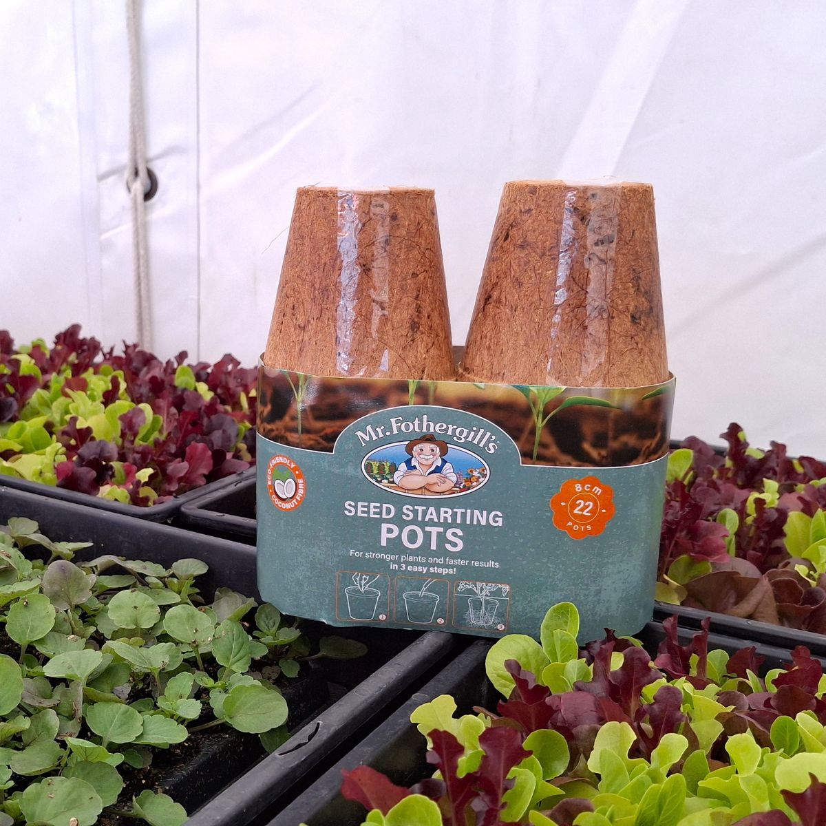 Going Loco for Coco Fibre: What Is Coco Fibre?