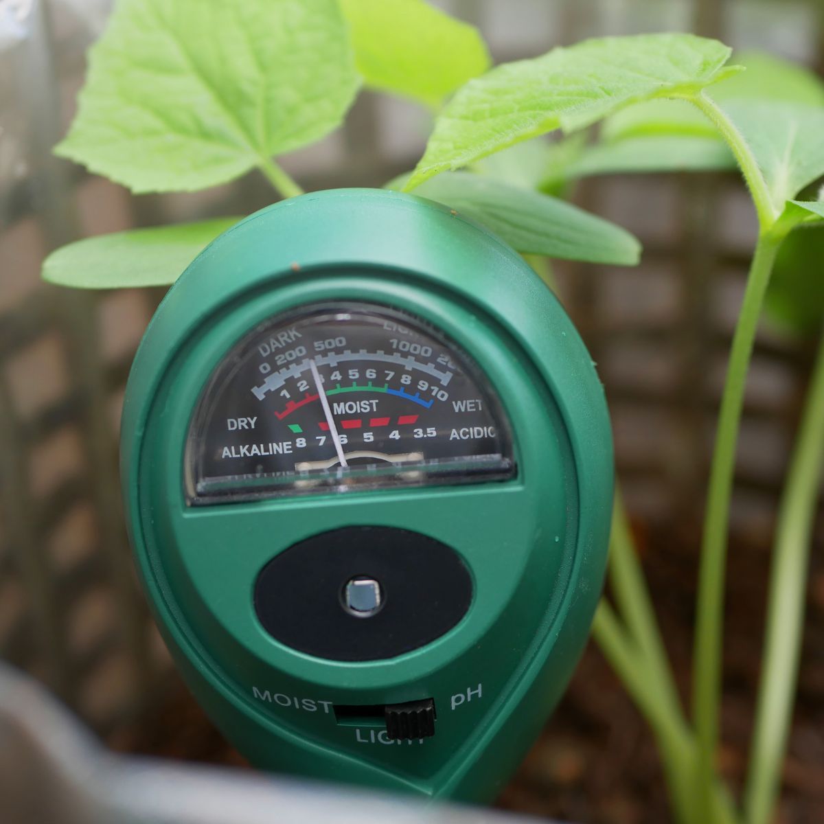 How To Use Mr Fothergill's Three In One Soil Meter