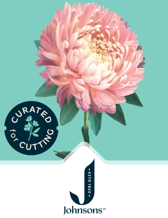 Curated For Cutting