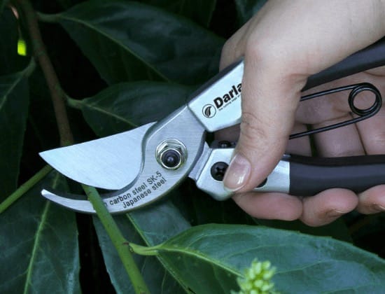 Garden Equipment