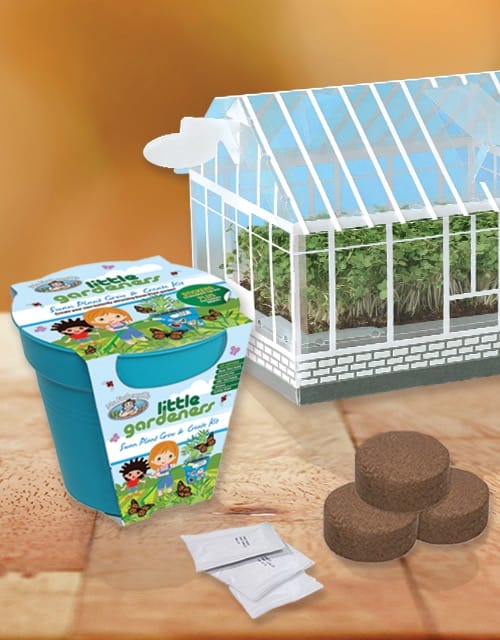 Kids All In One Kits