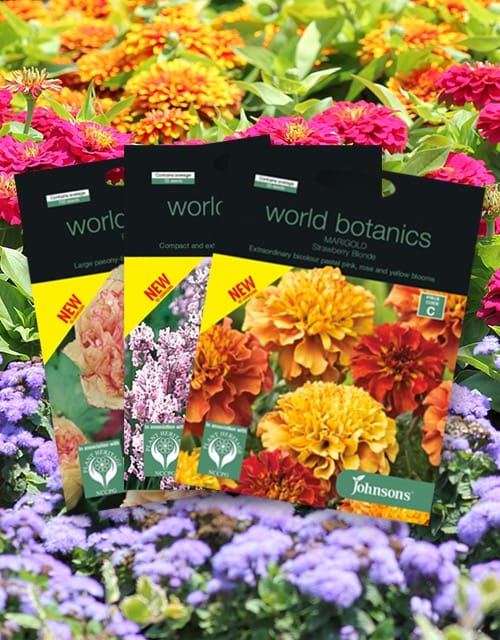 Johnsons World Botanics
