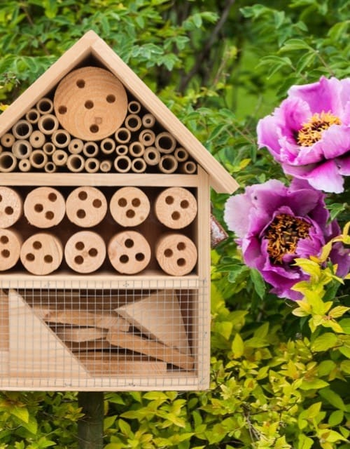 Bee & Butterfly Houses