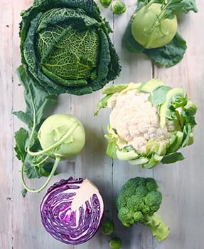 Cabbage Seeds