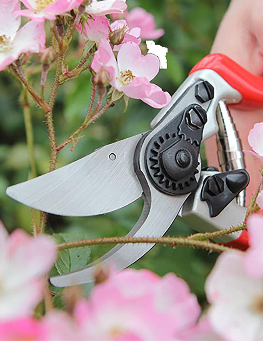 Pruners & Secateurs