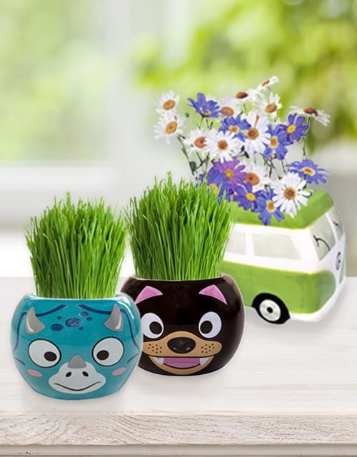Grass Hair Kits