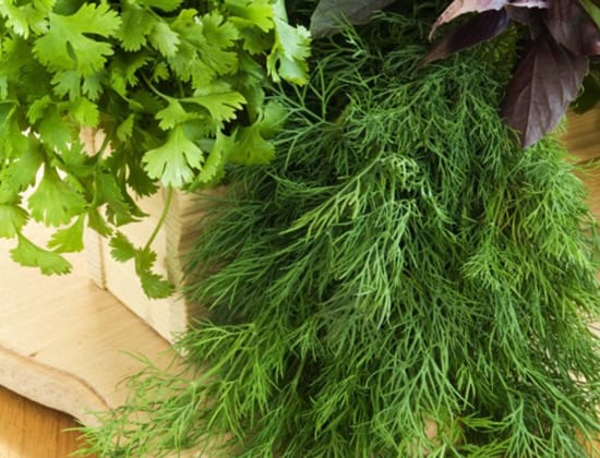 Herb Seeds