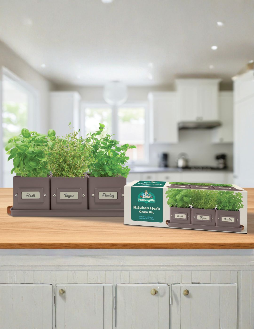 Kitchen Herb Grow Kit