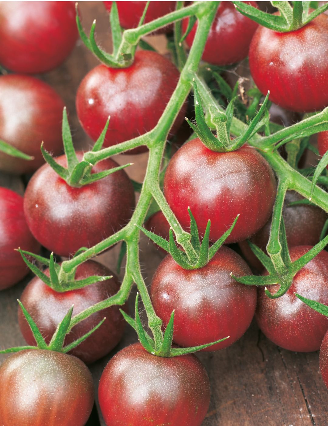 Tomato Black Cherry