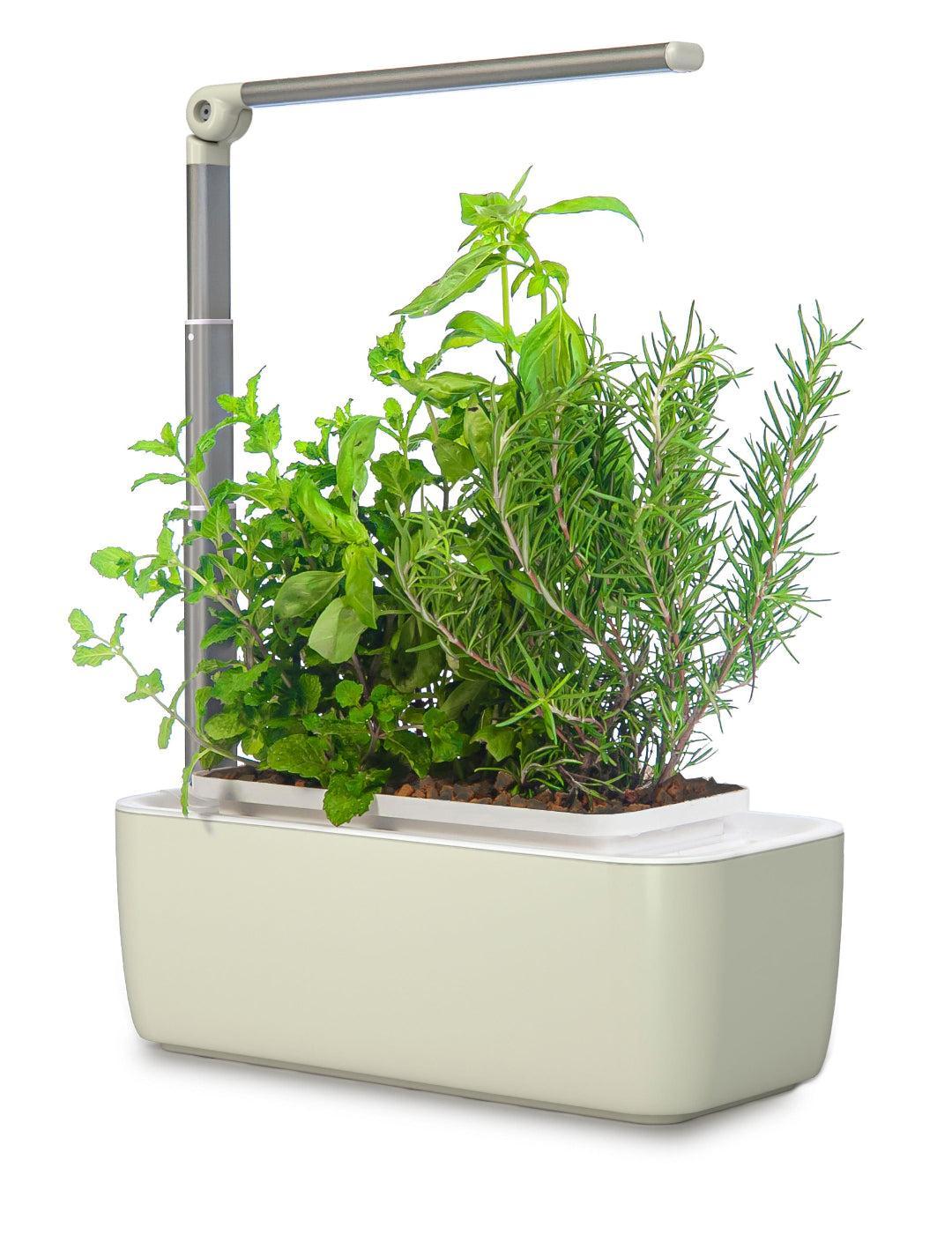 HydroGarden CLASSIC PLUS All-In-One Grow Kit