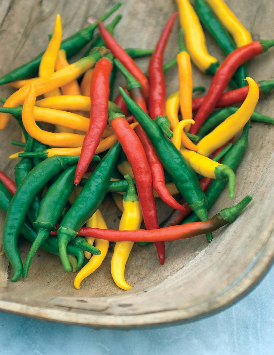 Devil's Brew Chilli Seeds