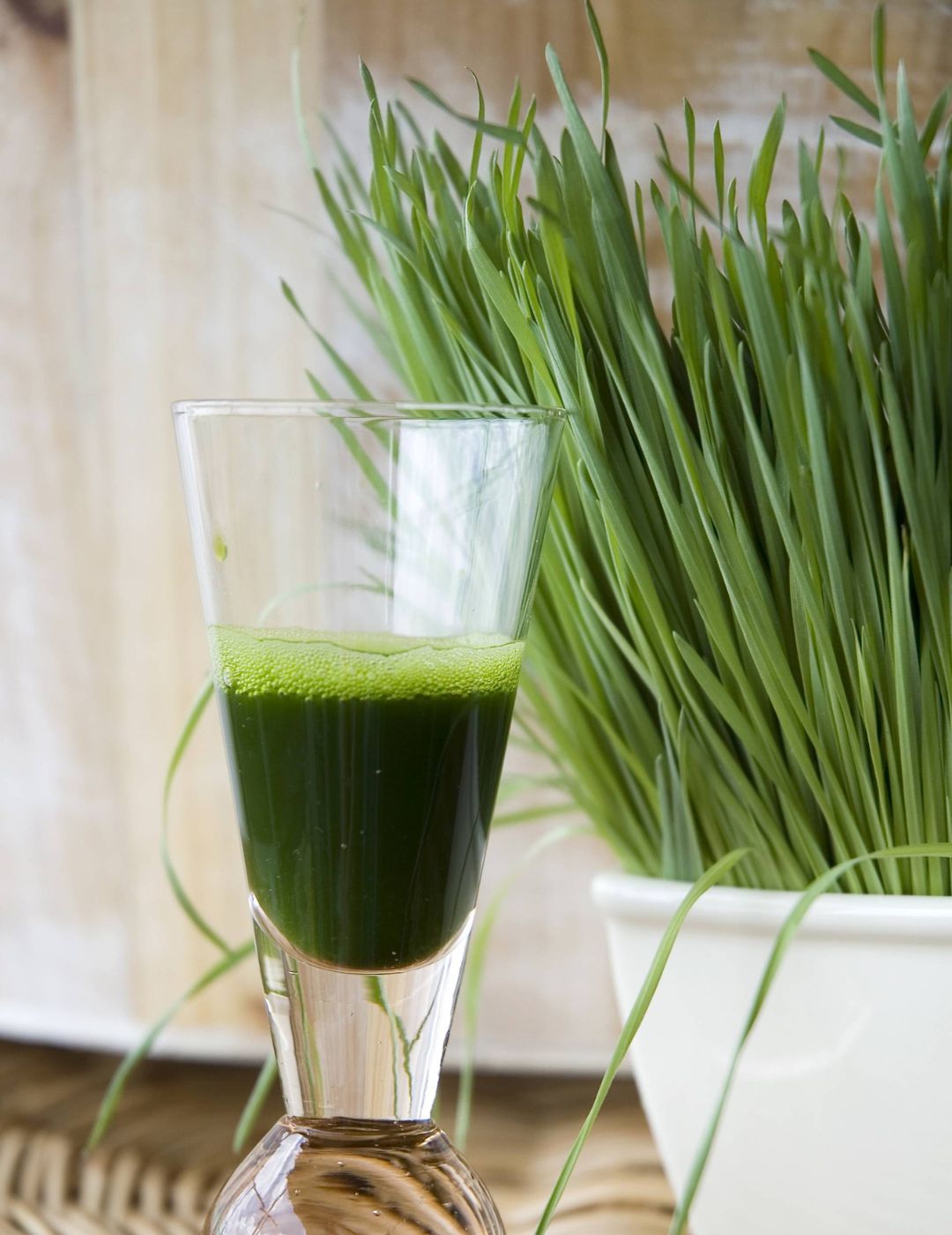 Wheatgrass - BULK BAG - NOT AVAILABLE TO TAS