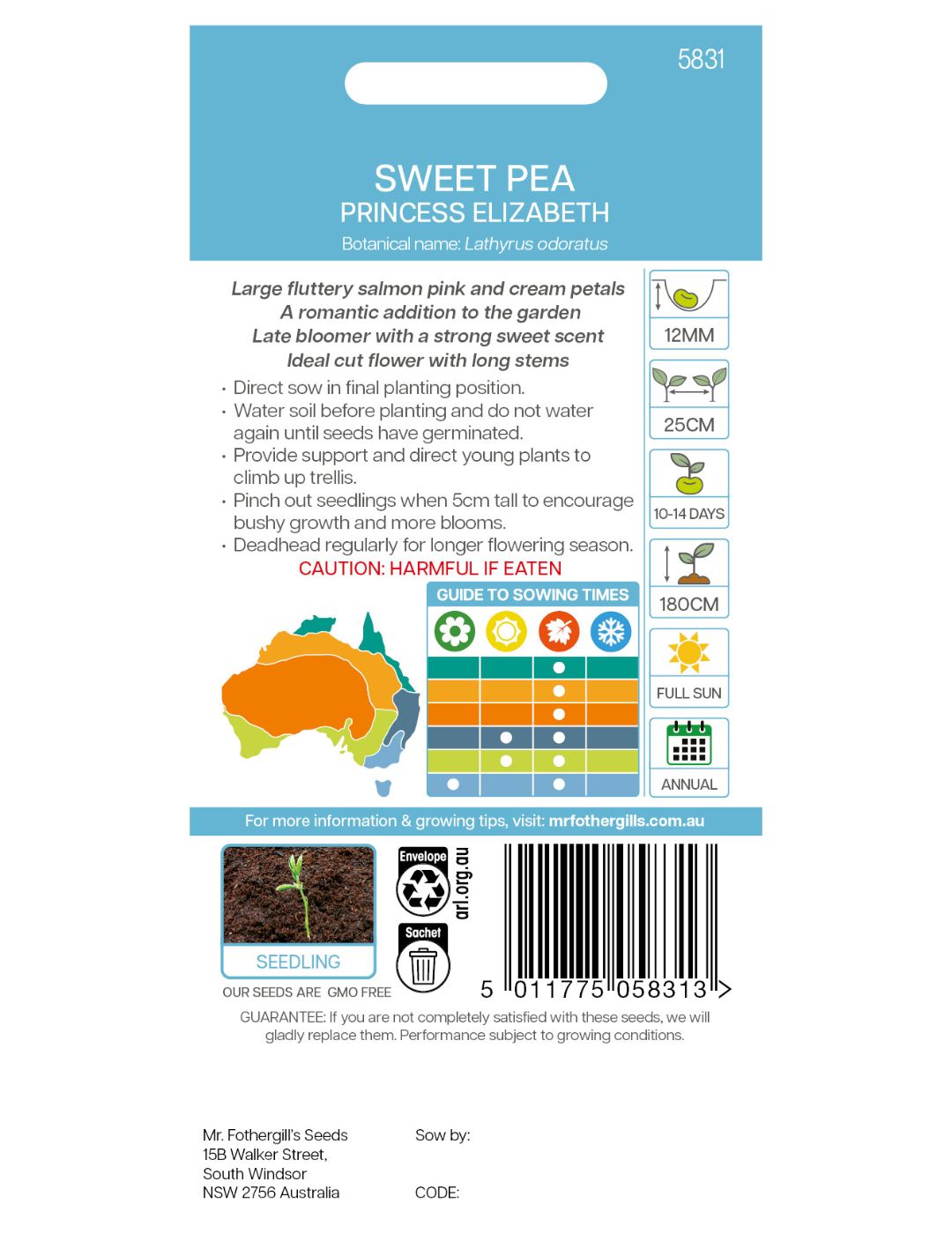 Sweet Pea Princess Elizabeth