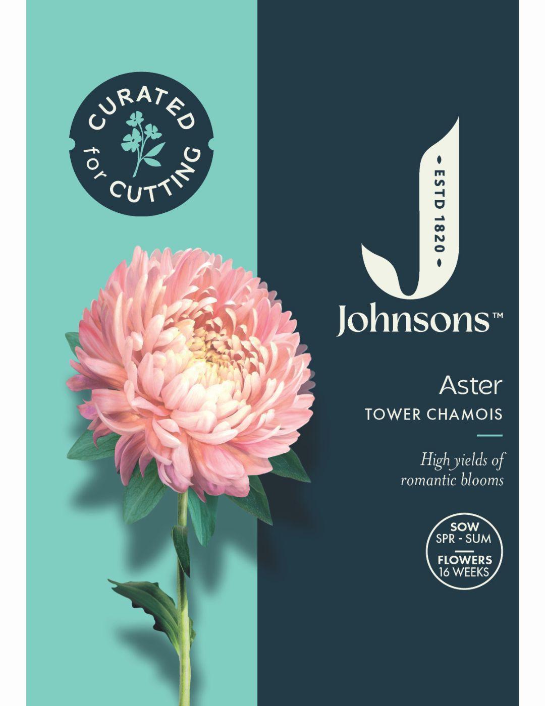 Aster Tower Chamois Seeds