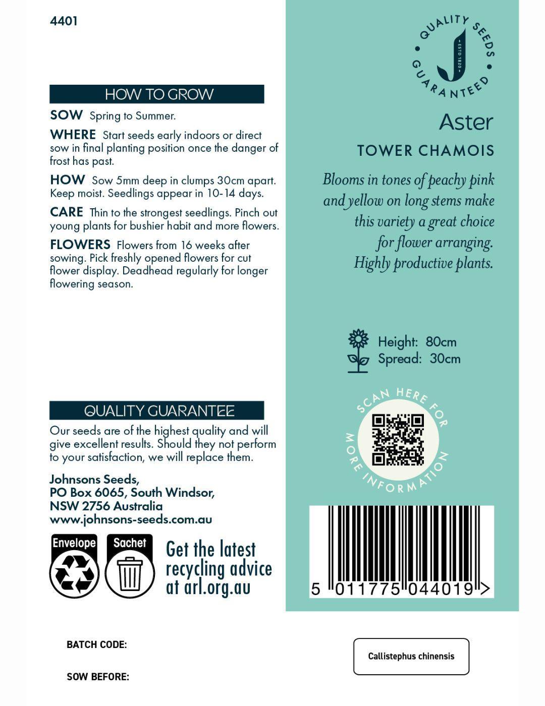 Aster Tower Chamois Seeds