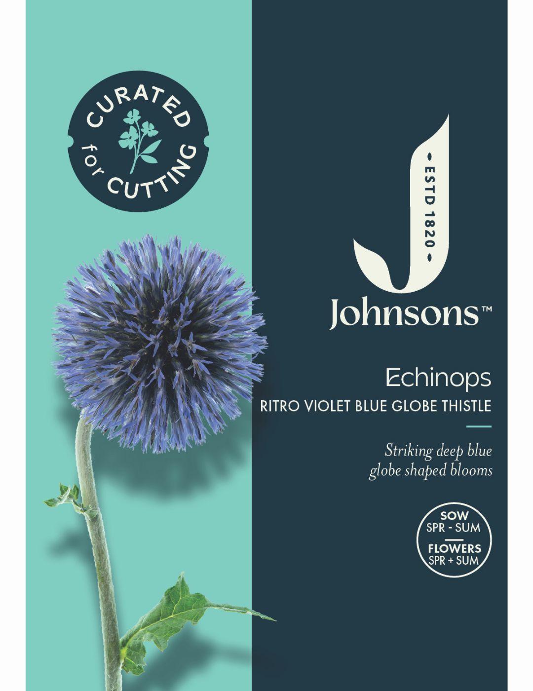 Echinops Ritro Violet Blue 'Globe Thistle' Seeds