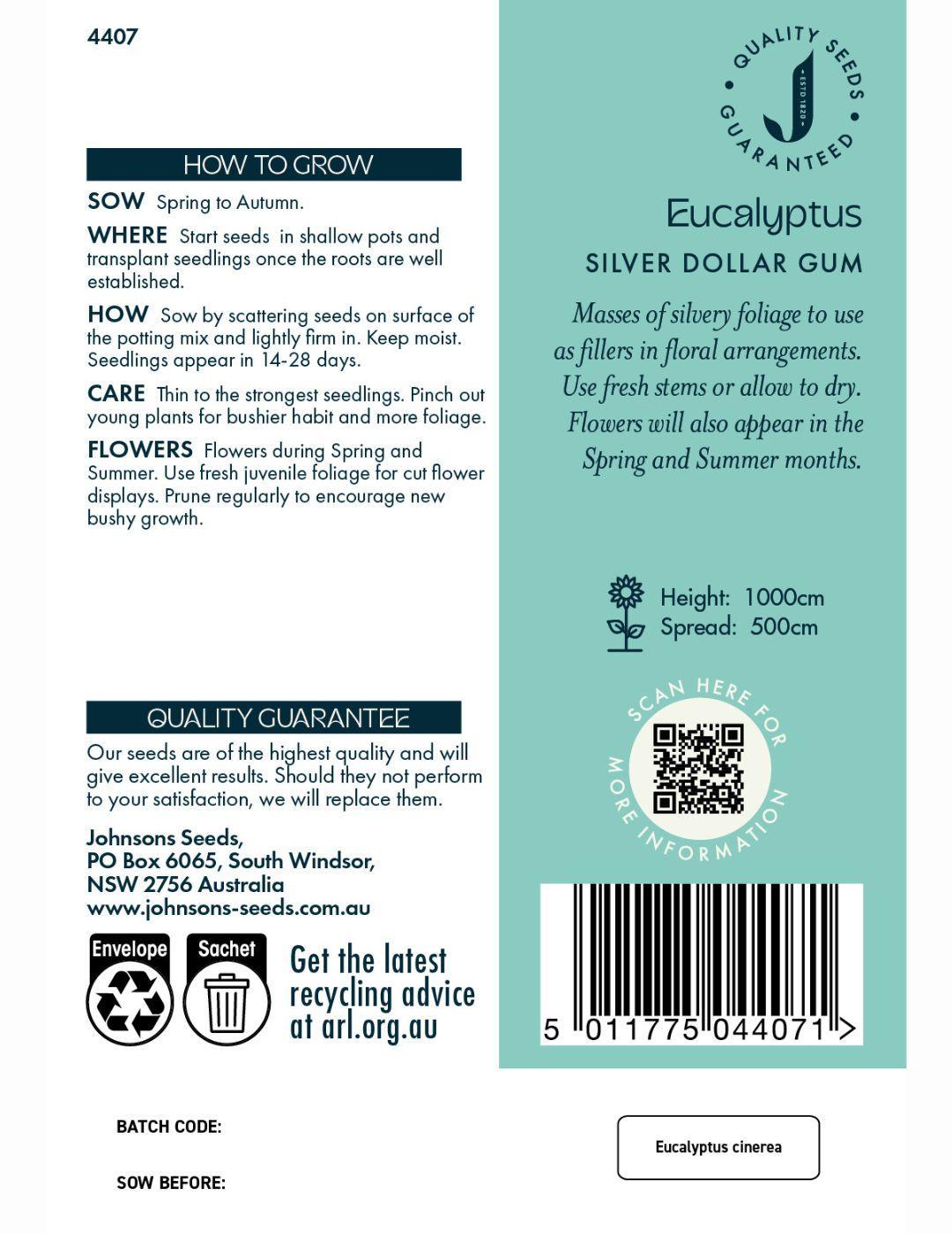 Eucalyptus Silver Dollar Gum Seeds