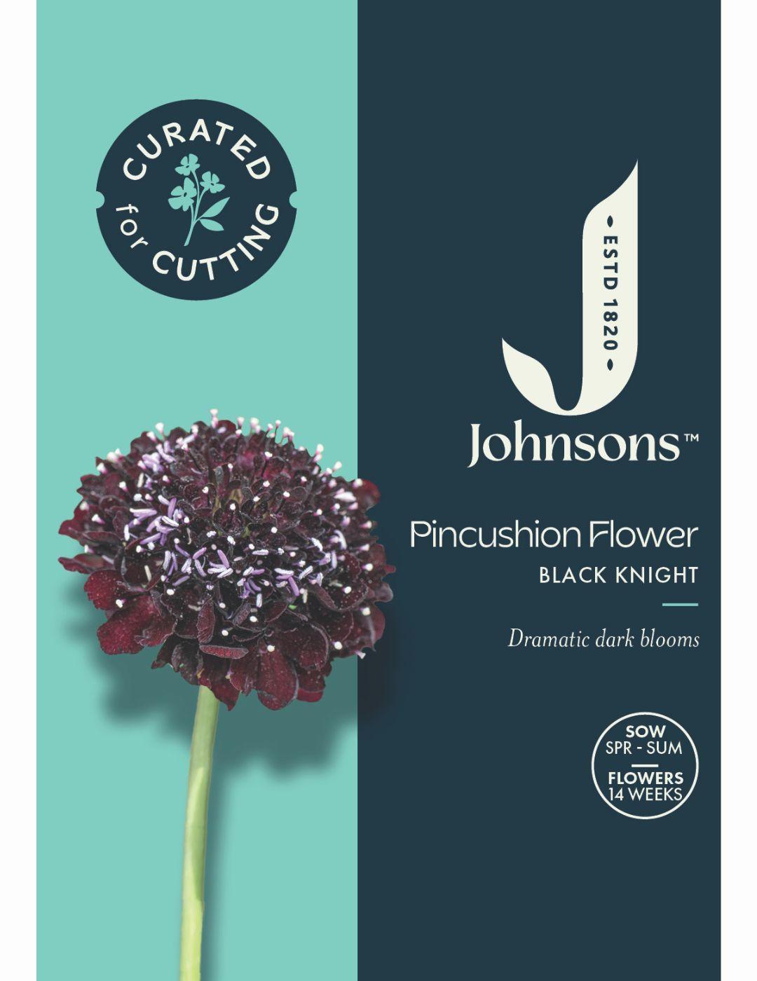 Pincushion Flower Black Knight Seeds