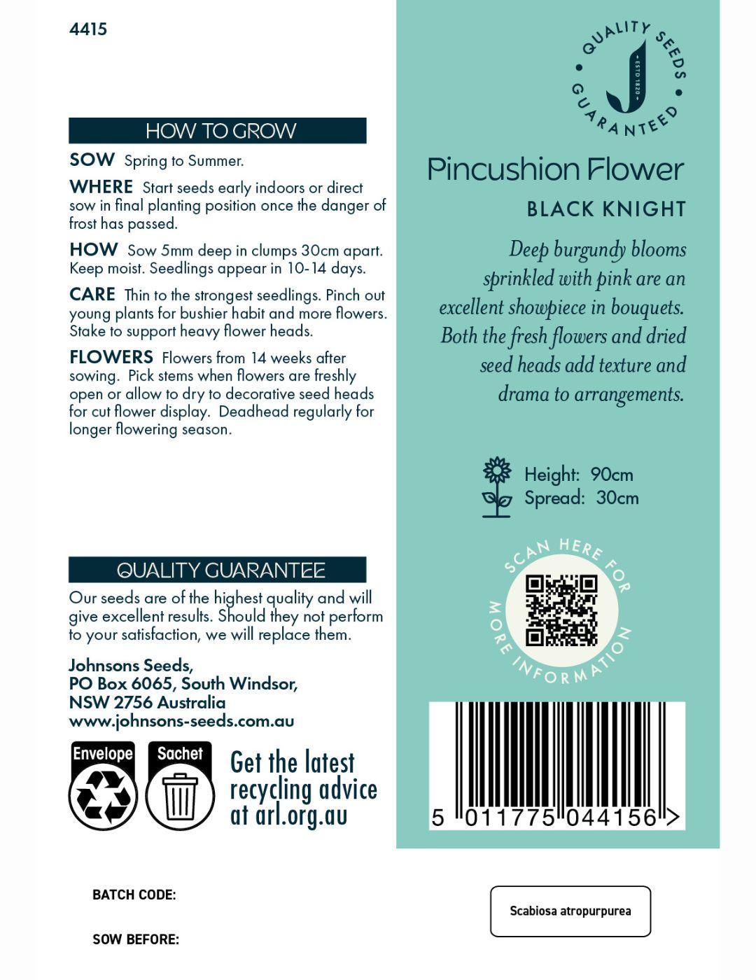 Pincushion Flower Black Knight Seeds