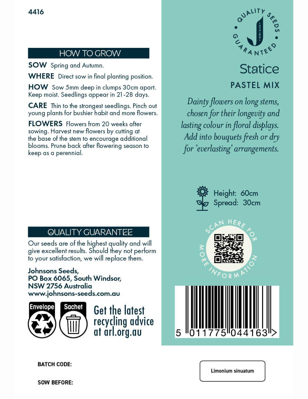 Statice Pastel Mix Seeds