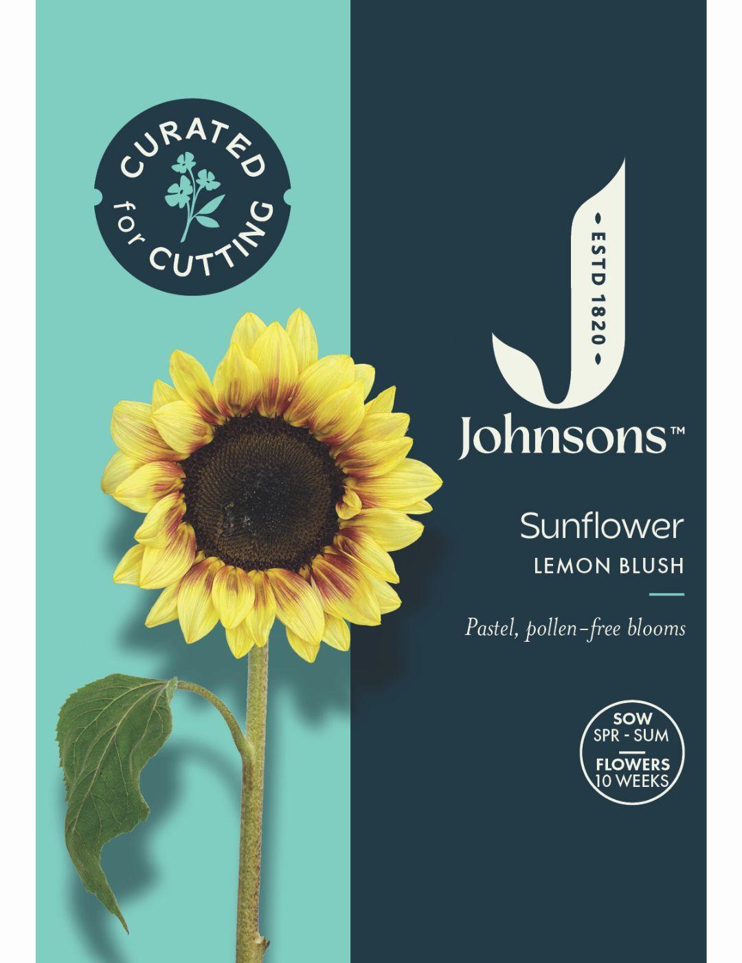 Sunflower Lemon Blush Seeds