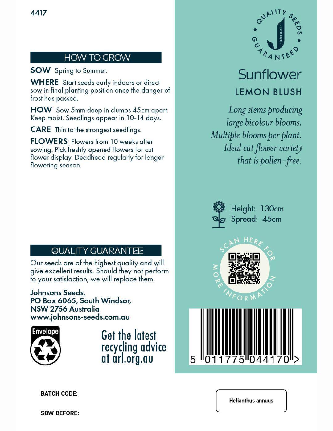 Sunflower Lemon Blush Seeds