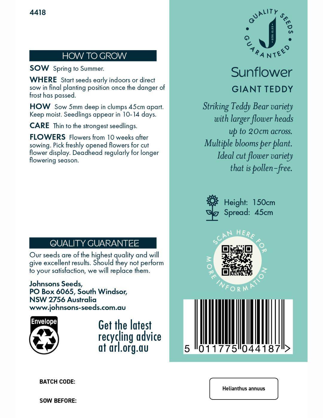 Sunflower Giant Teddybear Seeds