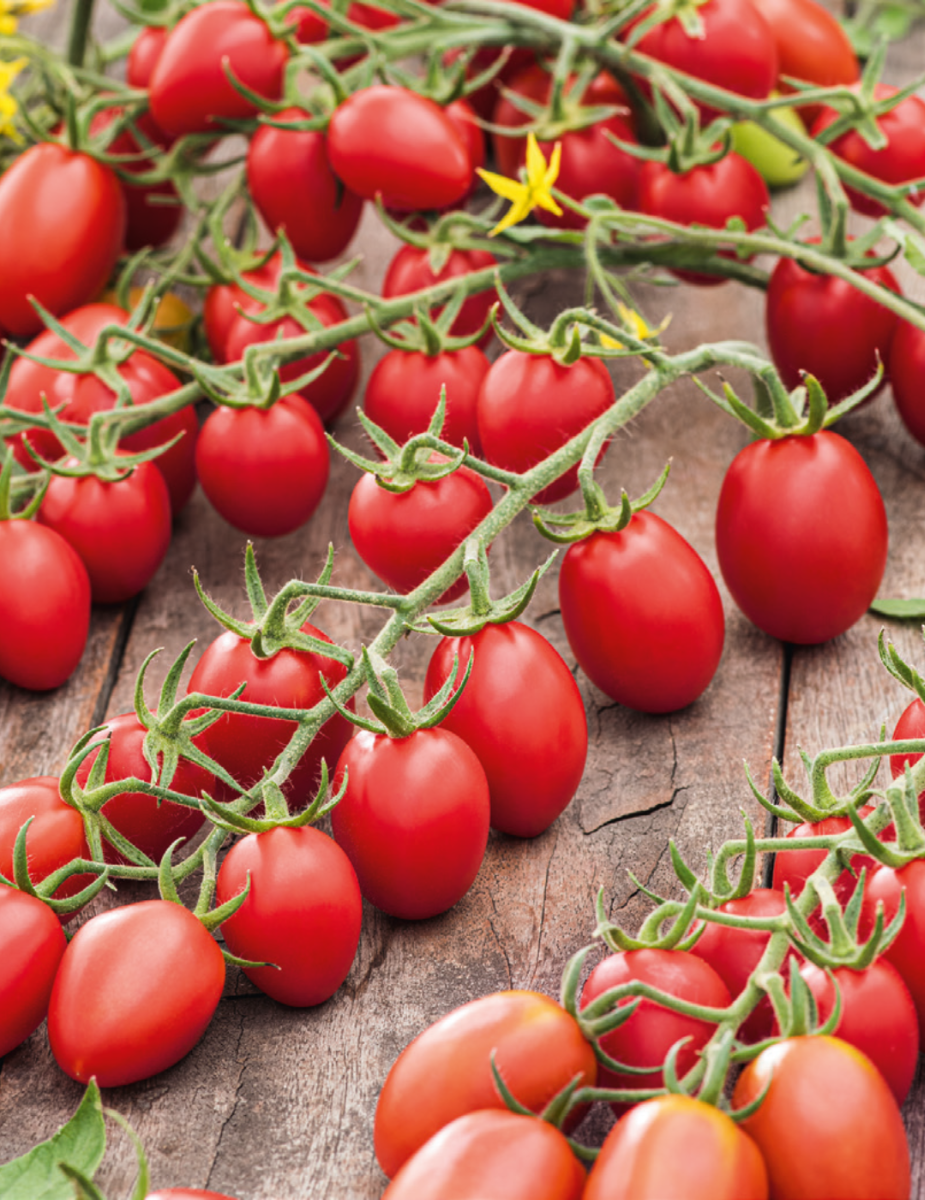 Tomato Juliet