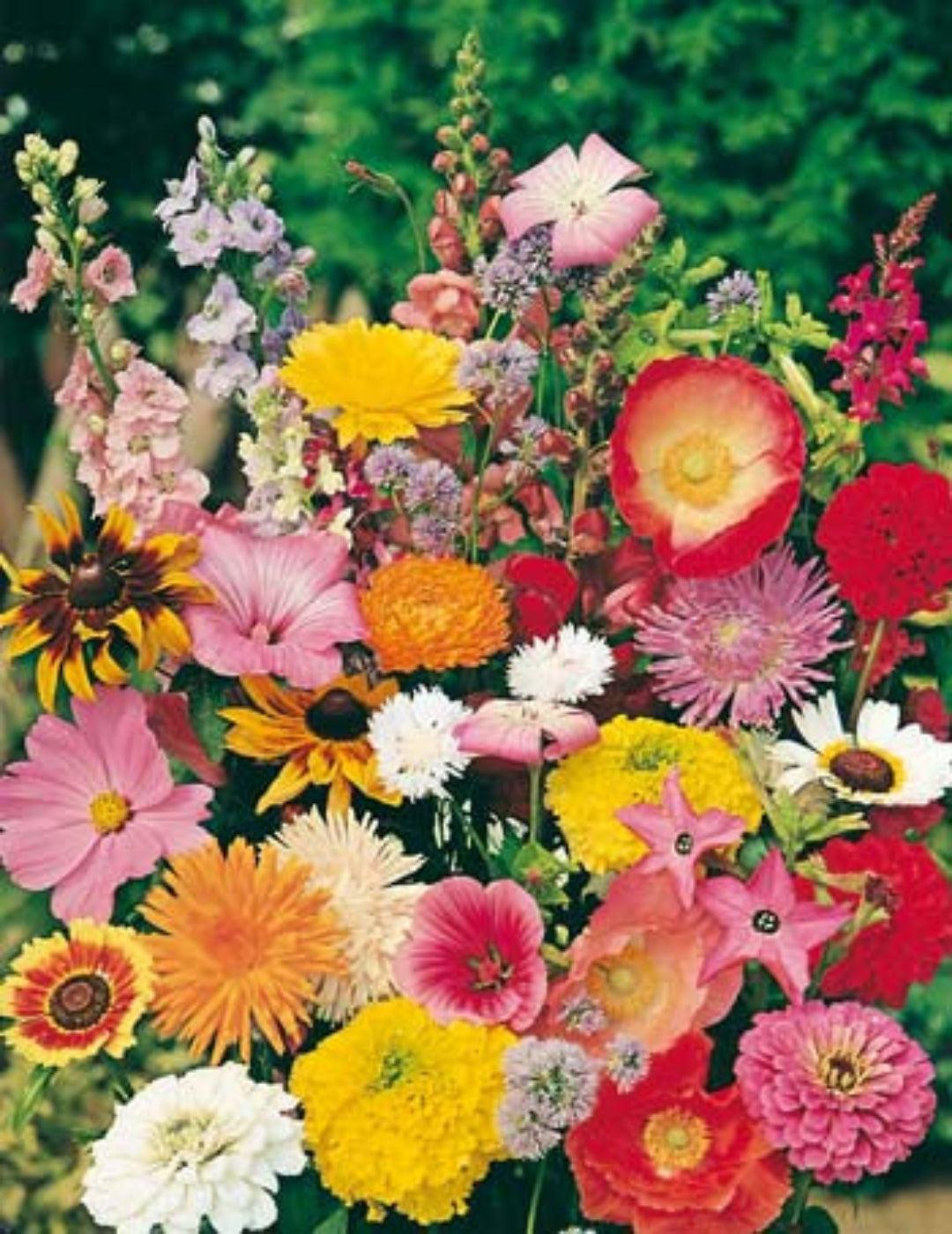 Cottage Garden Mix Seeds