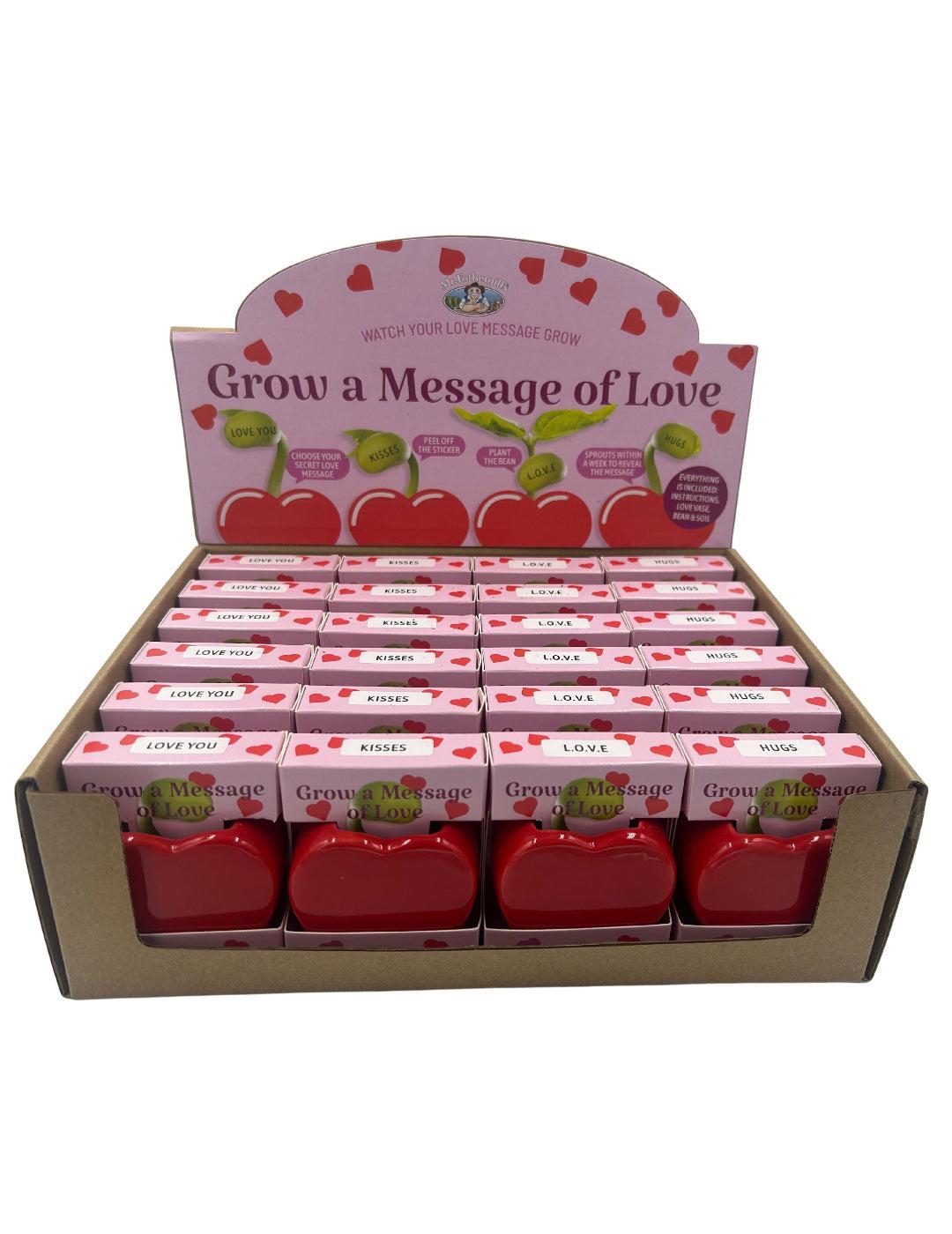 Love Heart Vase Grow Kit