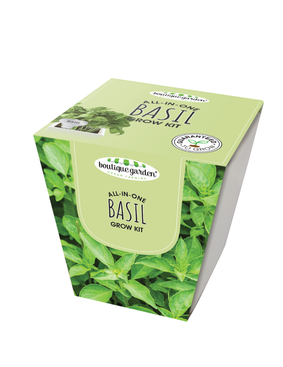 Square Ceramic Pot Basil Grow Kit