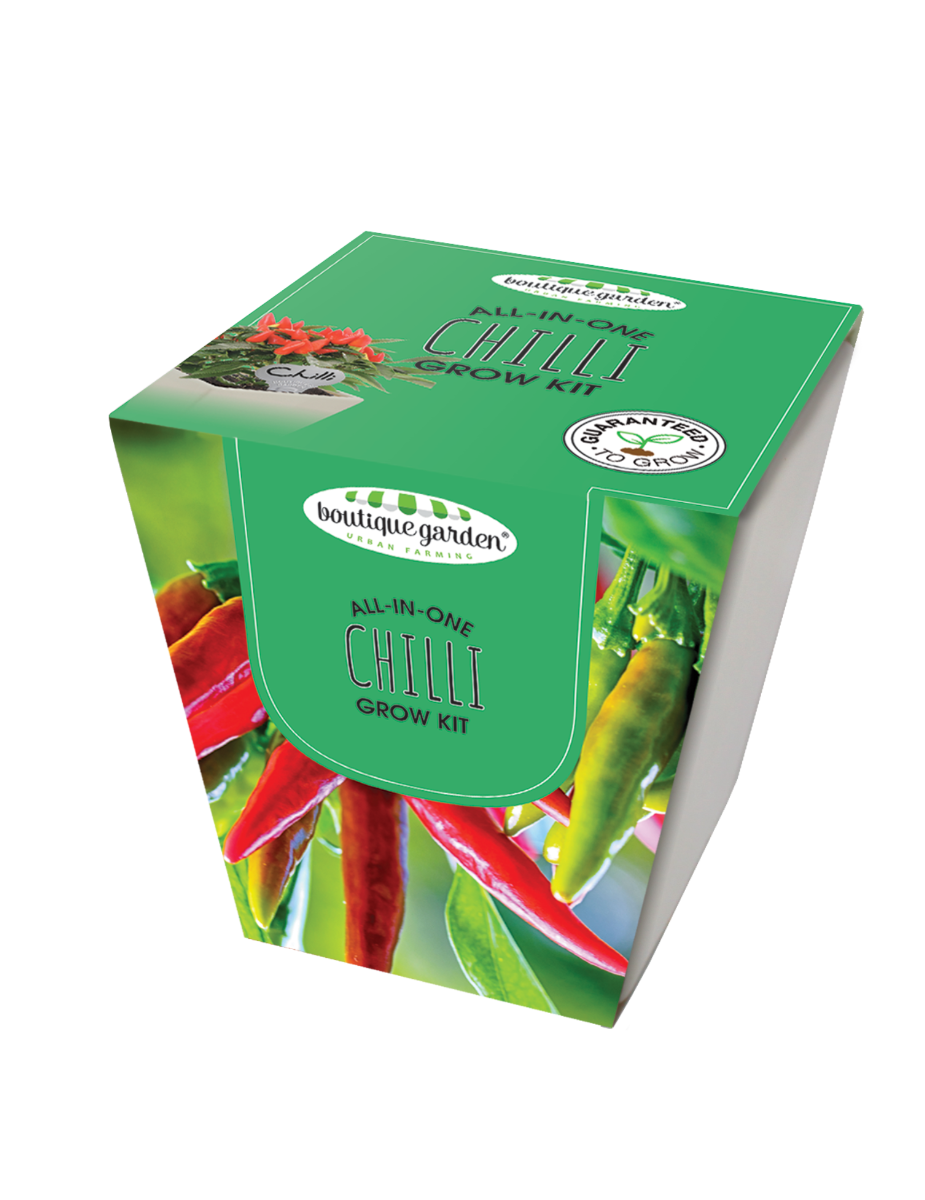 Square Ceramic Pot Chilli