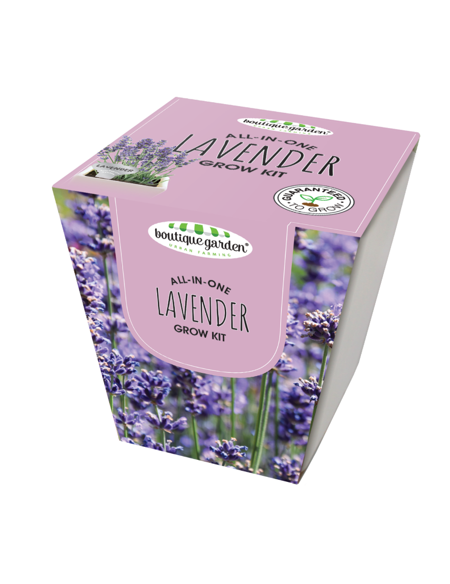 Square Ceramic Pot Lavender