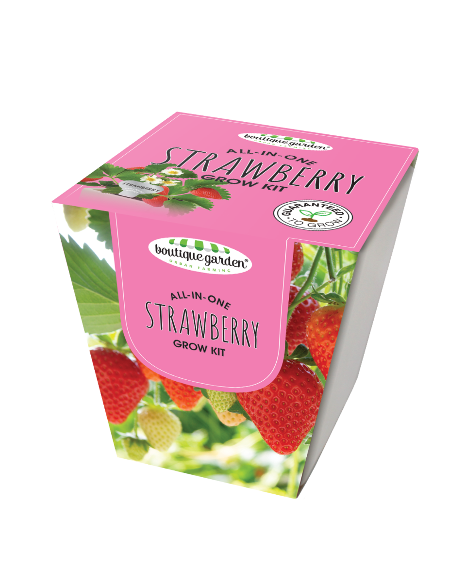 Square Ceramic Pot Strawberry