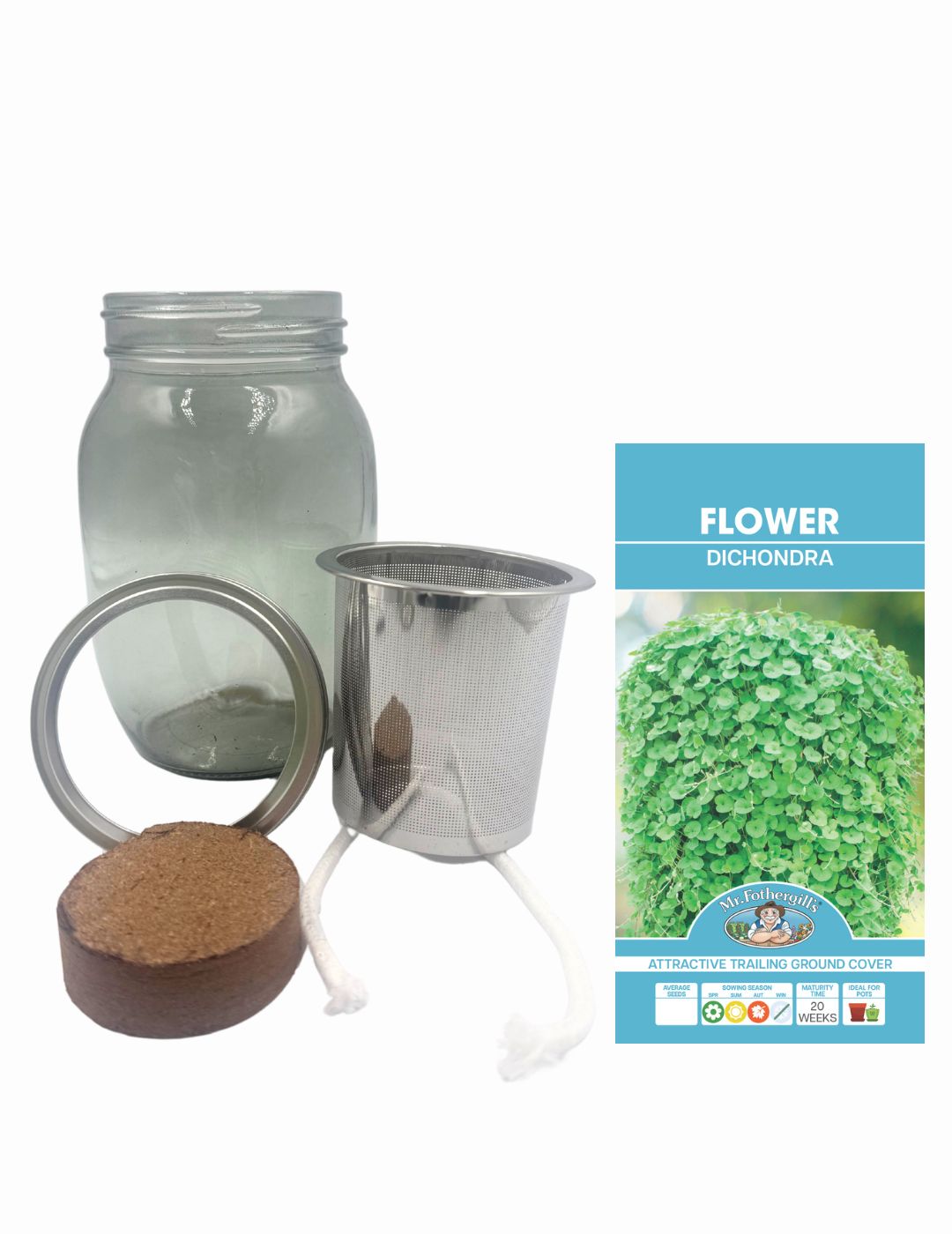 Self-Watering Mason Jar Kit (Dichondra Seeds)