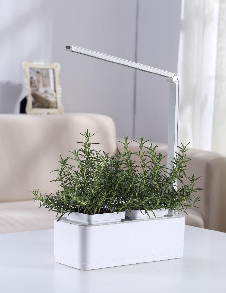 HydroGarden Original