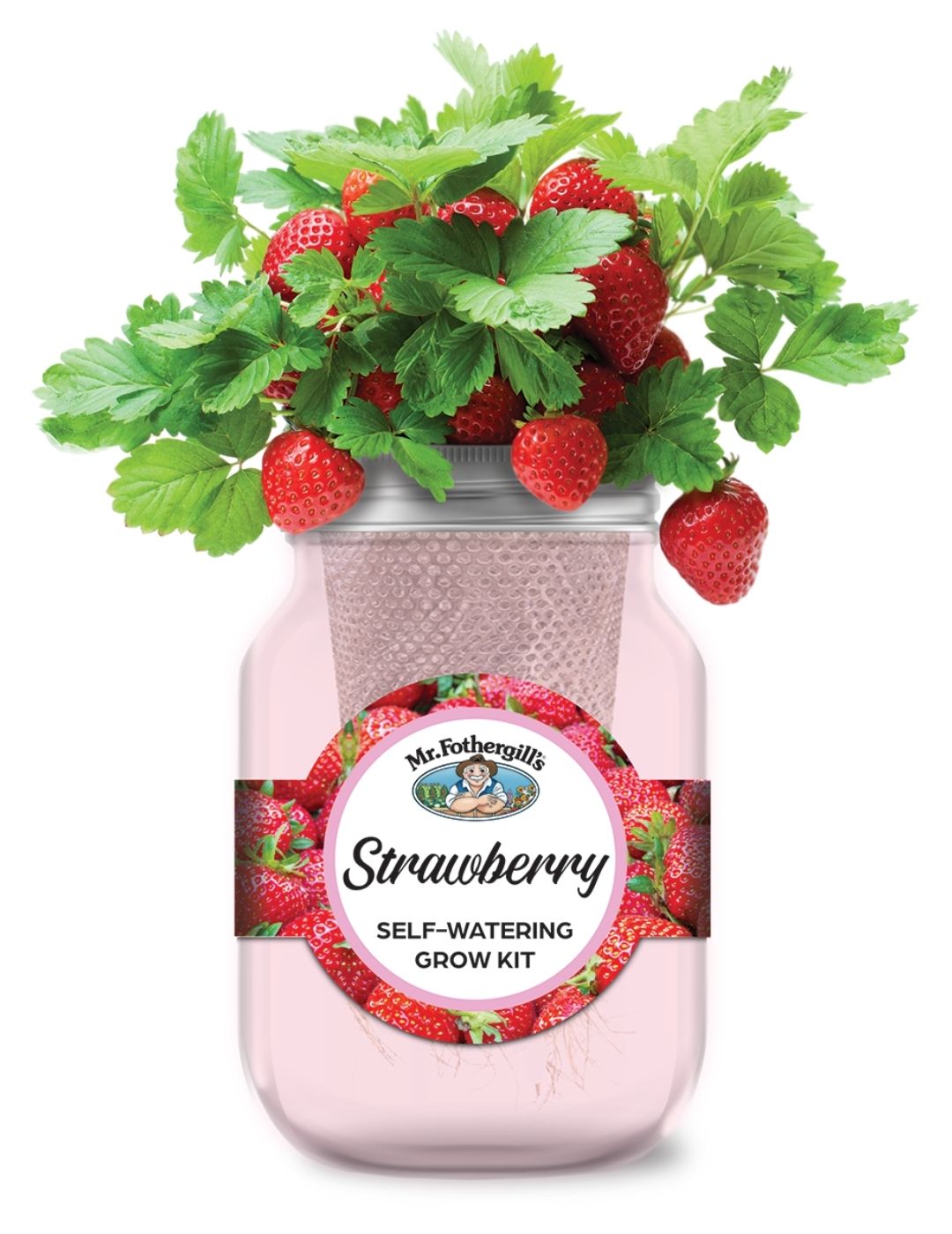 Self Watering Mason Jar Grow Kit - Strawberry Temptation