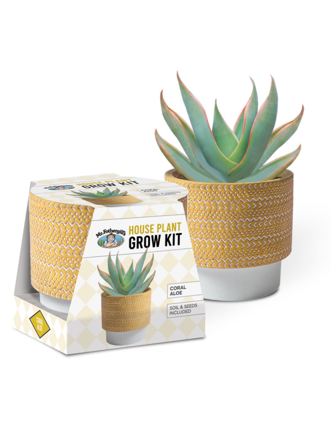 House Plant Grow Kit Coral Aloe