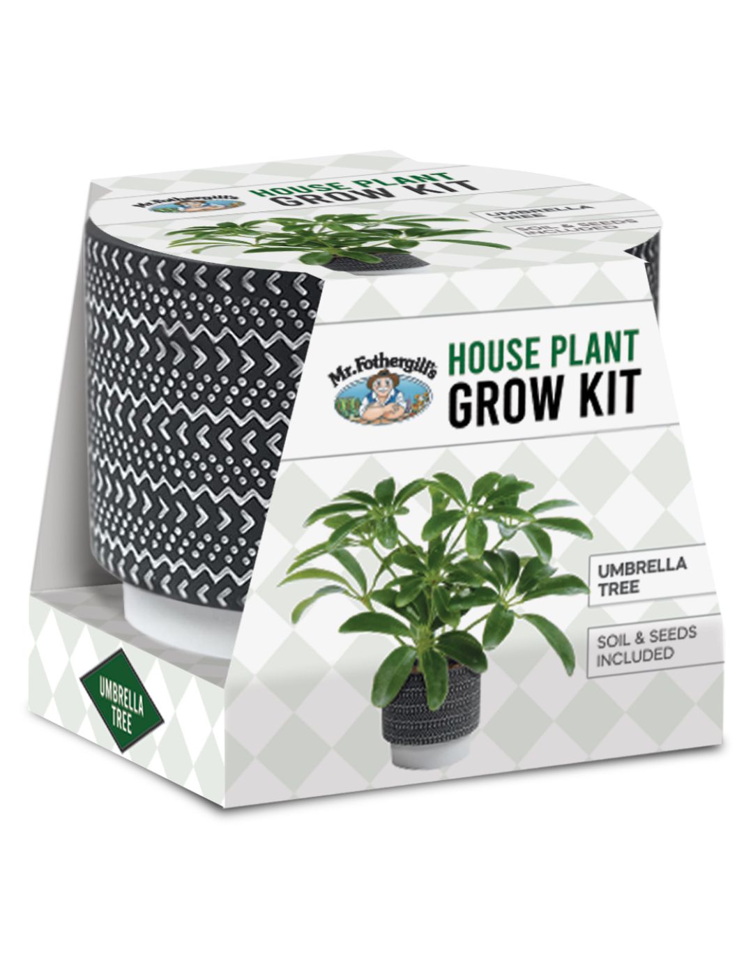 House Plant Grow Kit Umbrella Tree