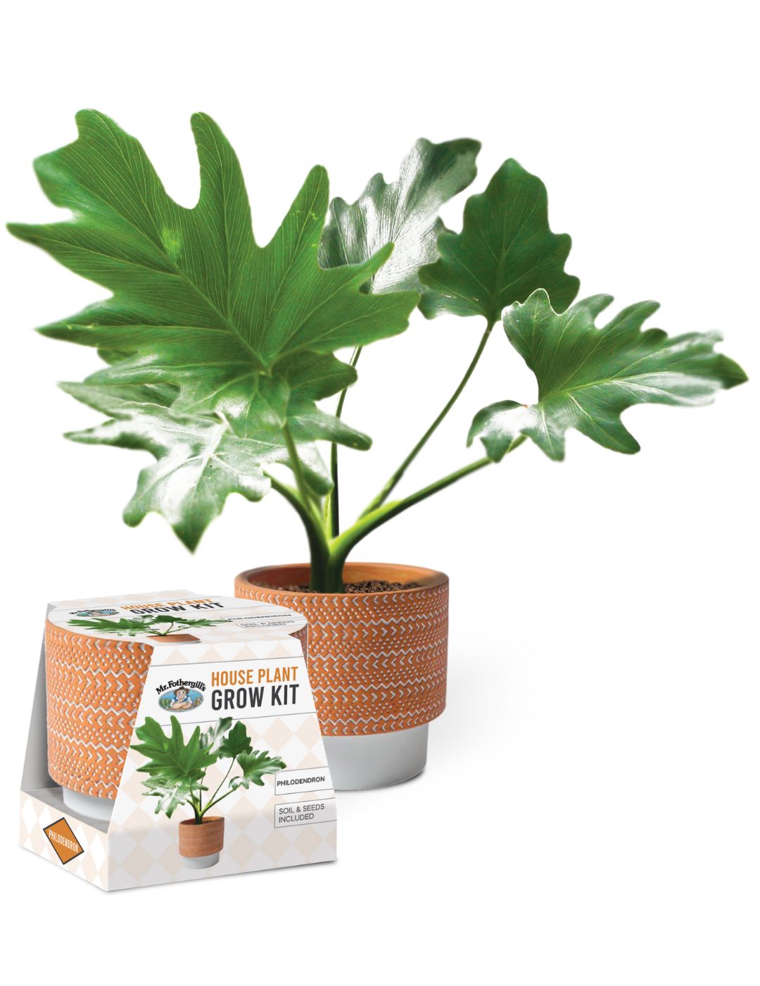 House Plant Grow Kit Philodendron