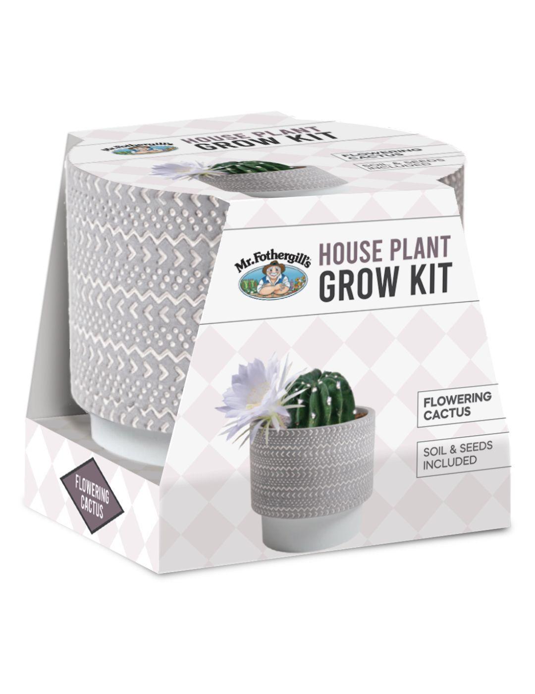 House Plant Grow Kit Flowering Cactus