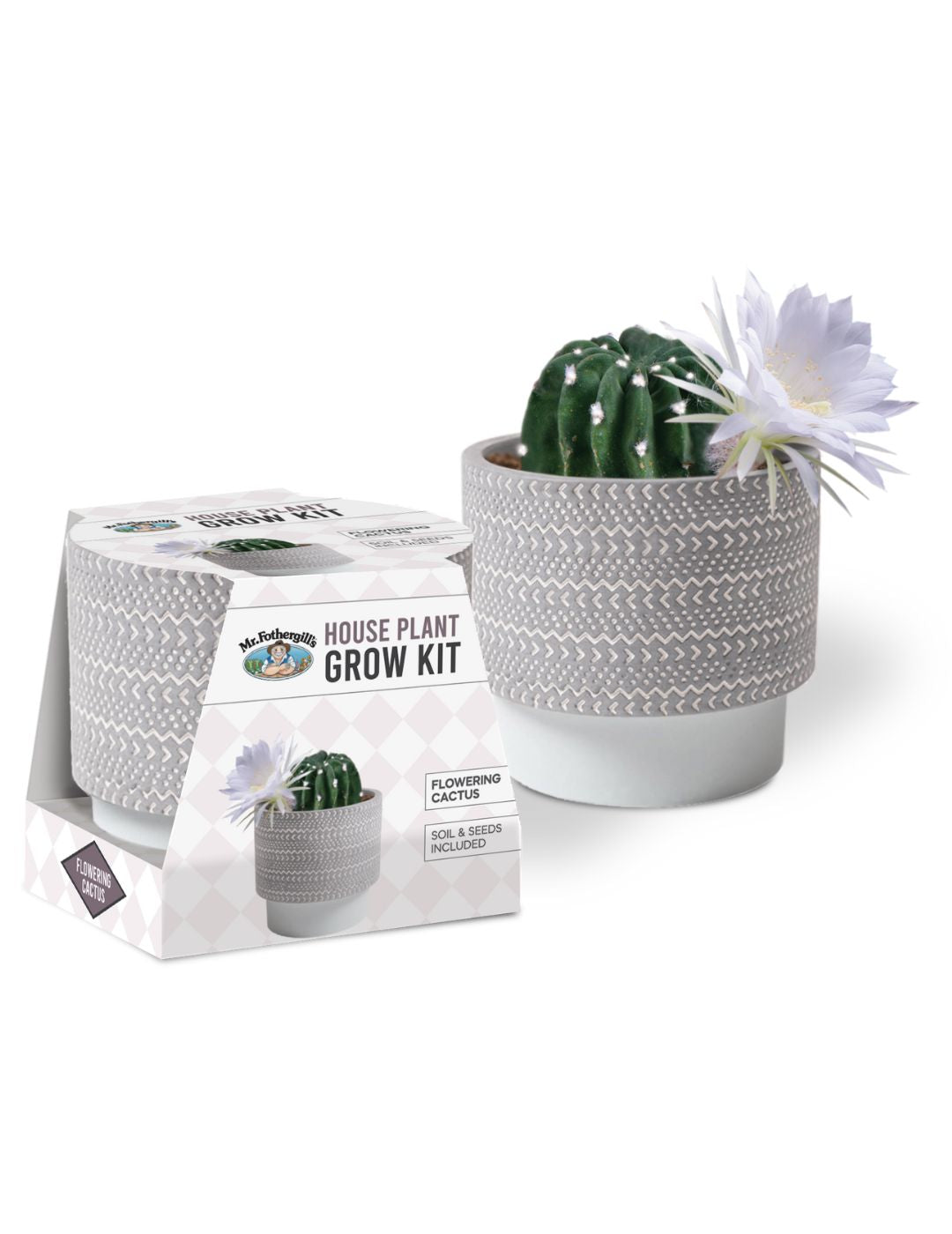 House Plant Grow Kit Flowering Cactus