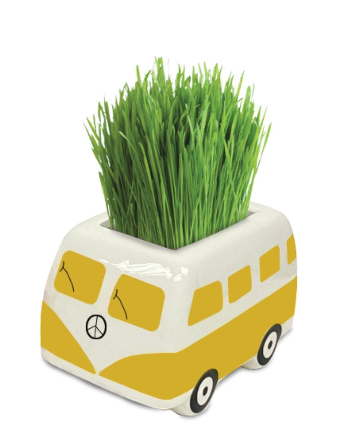 Good Vibes Minivan Grow Kit - Yellow