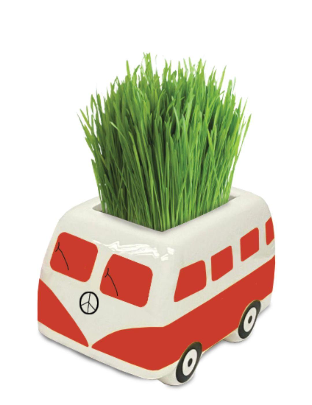 Good Vibes Minivan Grow Kit - Red