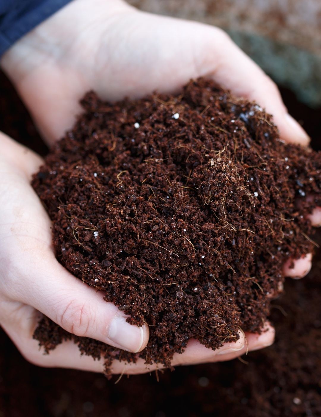 Coco Fibre Enriched Seed Starting Mix 10L